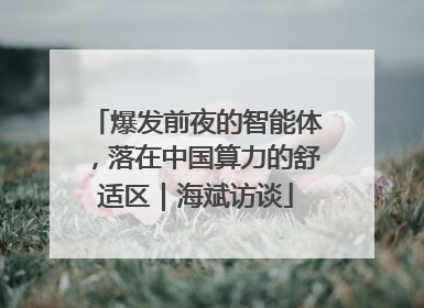 爆发前夜的智能体，落在中国算力的舒适区｜海斌访谈