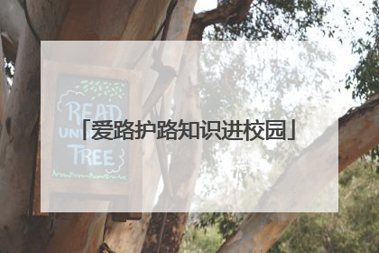 爱路护路知识进校园