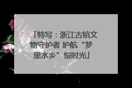 特写：浙江古镇文物守护者 护航“梦里水乡”慢时光
