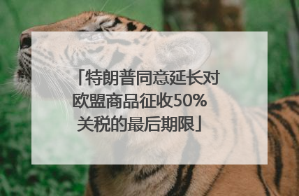 特朗普同意延长对欧盟商品征收50%关税的最后期限