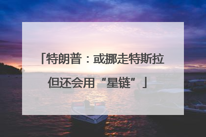 特朗普：或挪走特斯拉 但还会用“星链”