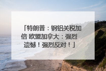 特朗普：钢铝关税加倍 欧盟加拿大：强烈遗憾！强烈反对！