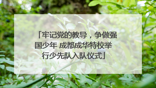 牢记党的教导，争做强国少年 成都成华特校举行少先队入队仪式