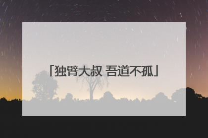 独臂大叔 吾道不孤