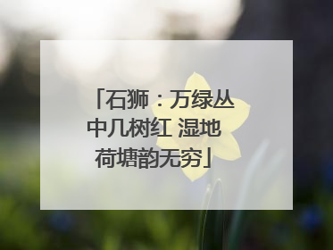 石狮：万绿丛中几树红 湿地荷塘韵无穷