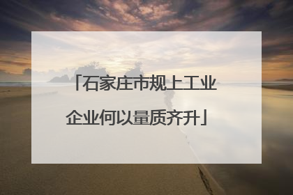 石家庄市规上工业企业何以量质齐升