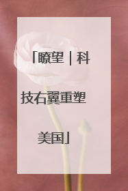 瞭望｜科技右翼重塑美国