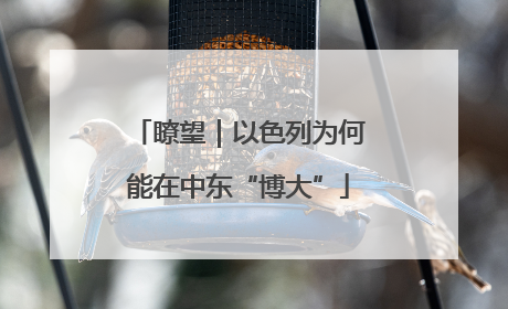 瞭望｜以色列为何能在中东“博大”