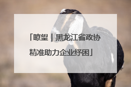 瞭望｜黑龙江省政协精准助力企业纾困
