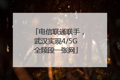 电信联通联手，武汉实现4/5G全频段一张网