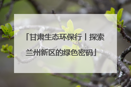 甘肃生态环保行丨探索兰州新区的绿色密码