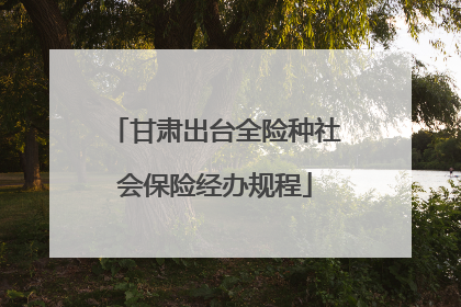 甘肃出台全险种社会保险经办规程
