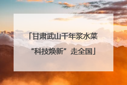 甘肃武山千年浆水菜“科技焕新”走全国