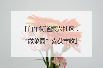 白午街道振兴社区：“微菜园”喜获丰收