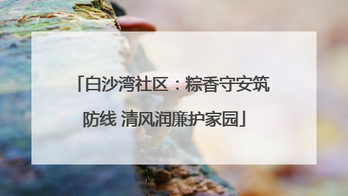 白沙湾社区：粽香守安筑防线 清风润廉护家园