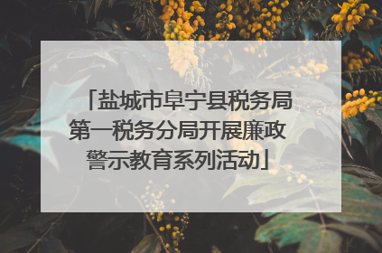 盐城市阜宁县税务局第一税务分局开展廉政警示教育系列活动