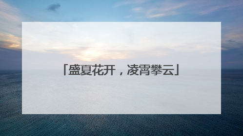盛夏花开，凌霄攀云