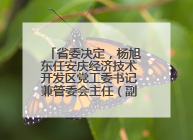 省委决定，杨旭东任安庆经济技术开发区党工委书记兼管委会主任（副厅级）