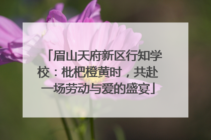 眉山天府新区行知学校：枇杷橙黄时，共赴一场劳动与爱的盛宴