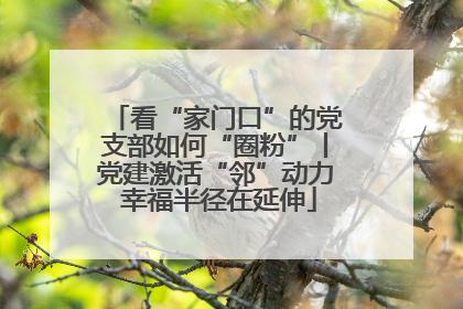 看“家门口”的党支部如何“圈粉”丨党建激活“邻”动力 幸福半径在延伸