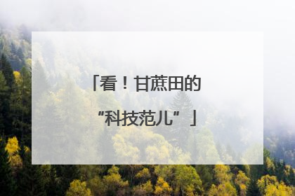看！甘蔗田的“科技范儿”