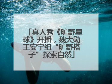 真人秀《旷野星球》开播，魏大勋王安宇组“旷野搭子”探索自然