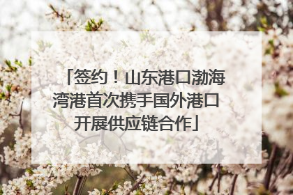 签约！山东港口渤海湾港首次携手国外港口开展供应链合作