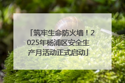 筑牢生命防火墙！2025年杨浦区安全生产月活动正式启动