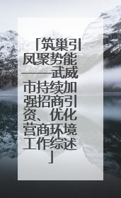 筑巢引凤聚势能——武威市持续加强招商引资、优化营商环境工作综述