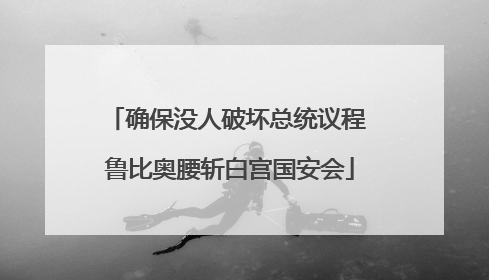 确保没人破坏总统议程 鲁比奥腰斩白宫国安会