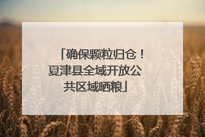 确保颗粒归仓！夏津县全域开放公共区域晒粮