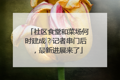 社区食堂和菜场何时建成？记者串门后，最新进展来了