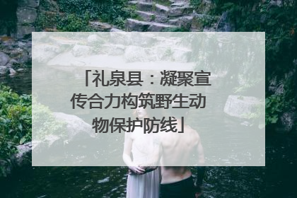 礼泉县：凝聚宣传合力构筑野生动物保护防线
