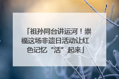 祖孙同台讲运河！崇福这场非遗日活动让红色记忆“活”起来