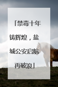 禁毒十年铸辉煌，盐城公安启航再破浪