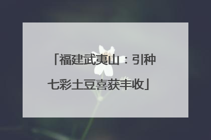 福建武夷山：引种七彩土豆喜获丰收