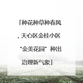 种花种草种春风，天心区金桂小区“金美花园”种出治理新气象