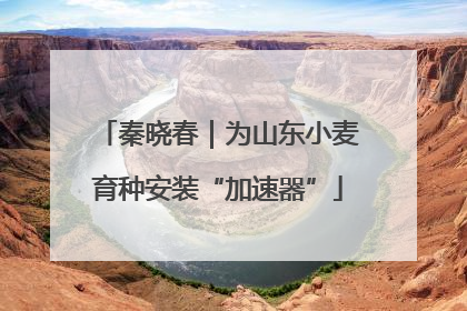 秦晓春｜为山东小麦育种安装“加速器”