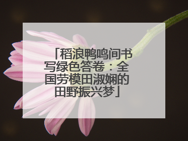 稻浪鸭鸣间书写绿色答卷：全国劳模田淑娴的田野振兴梦