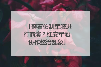 穿着仿制军服进行商演？红安军地协作整治乱象