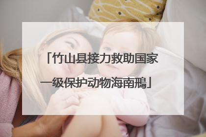 竹山县接力救助国家一级保护动物海南鳽