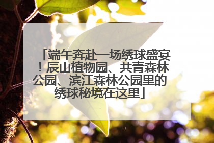 端午奔赴一场绣球盛宴！辰山植物园、共青森林公园、滨江森林公园里的绣球秘境在这里