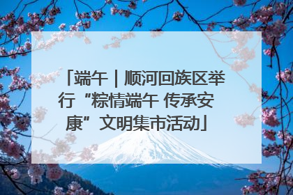端午｜顺河回族区举行“粽情端午 传承安康”文明集市活动