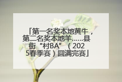 第一名奖本地黄牛，第二名奖本地羊……县街“村BA”（2025春季赛）圆满完赛