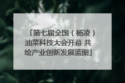 第七届全国（杨凌）油菜科技大会开幕 共绘产业创新发展蓝图