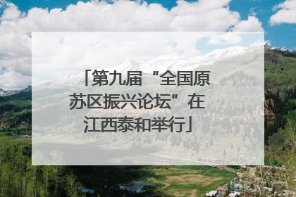 第九届“全国原苏区振兴论坛”在江西泰和举行