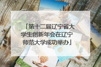 第十二届辽宁省大学生创新年会在辽宁师范大学成功举办