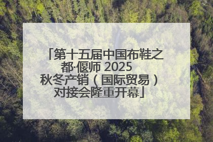 第十五届中国布鞋之都·偃师 2025 秋冬产销（国际贸易）对接会隆重开幕