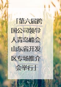 第六届跨国公司领导人青岛峰会山东省开发区专场推介会举行