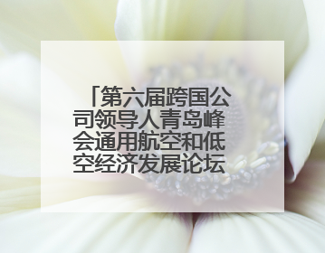 第六届跨国公司领导人青岛峰会通用航空和低空经济发展论坛成功举办